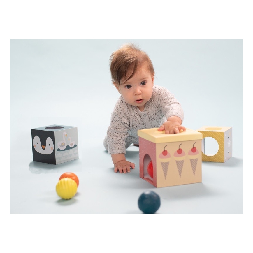 Taf Toys - Set di giochi interattivi Polo Nord
