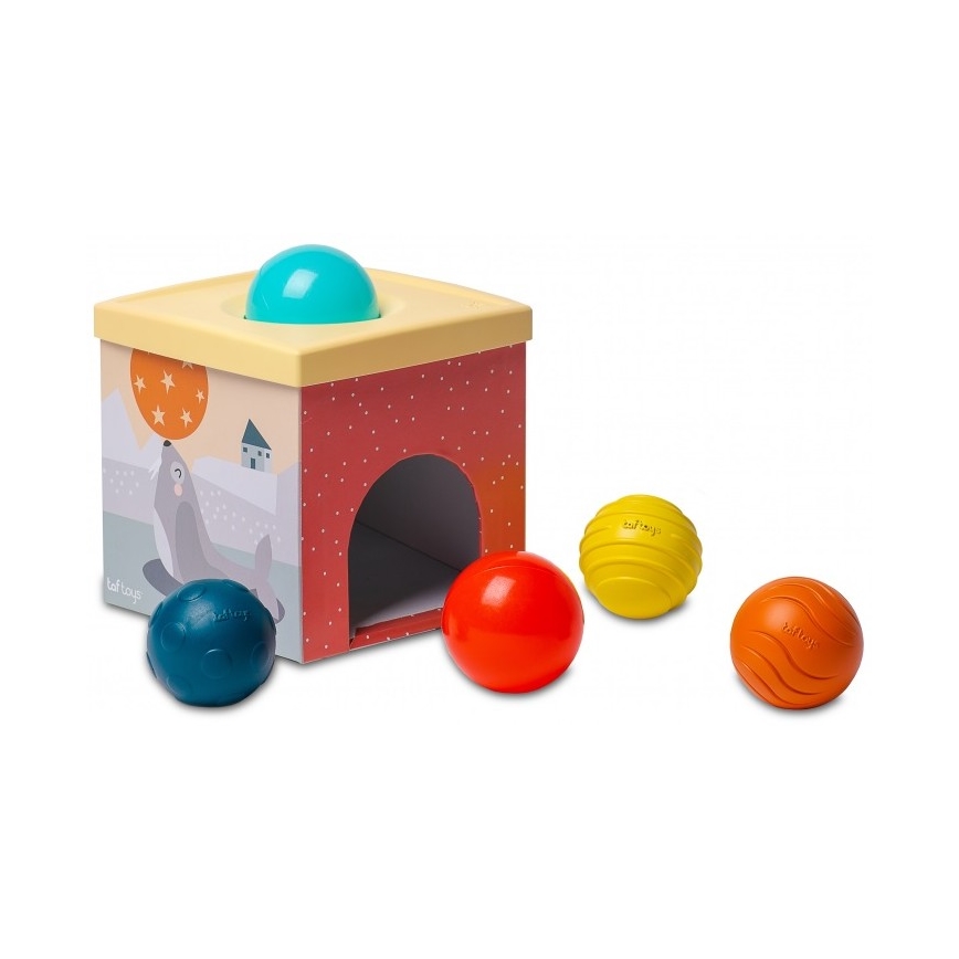 Taf Toys - Set di giochi interattivi Polo Nord