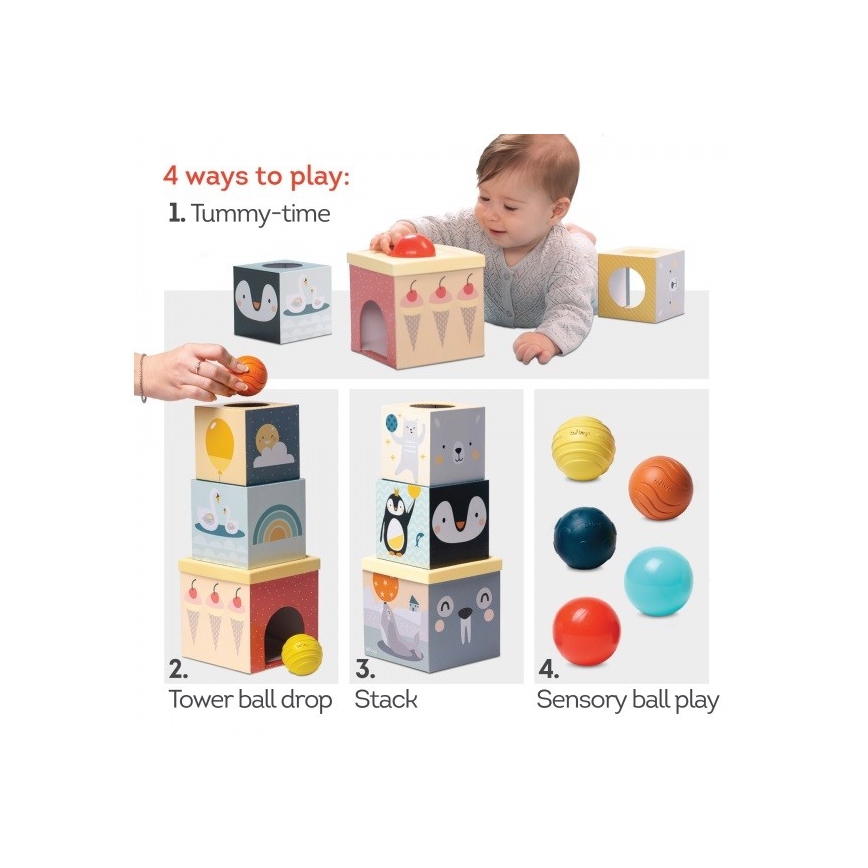 Taf Toys - Set di giochi interattivi Polo Nord