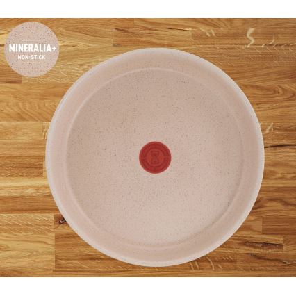 Tefal - 17-teiliges Kochgeschirrset INGENIO DELIGHT