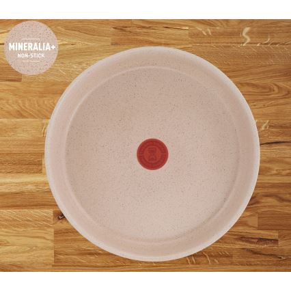 Tefal - 6-teiliges Kochgeschirrset INGENIO DELIGHT