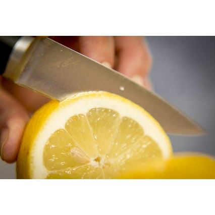 Tefal - Coltello da intaglio in acciaio inox ICE FORCE 9 cm cromo lucido/nero