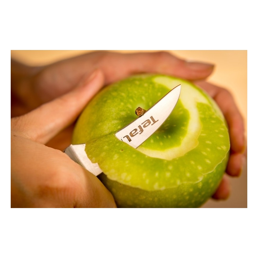 Tefal - Coltello per intaglio in acciaio inox ICE FORCE 7 cm cromo lucido/nero