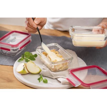 Tefal - Contenitore per alimenti MSEAL GLASS 1,1 l, rosso/vetro