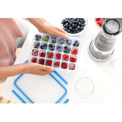 Tefal - Forma per ghiaccio 24 cubetti MASTER SEAL blu