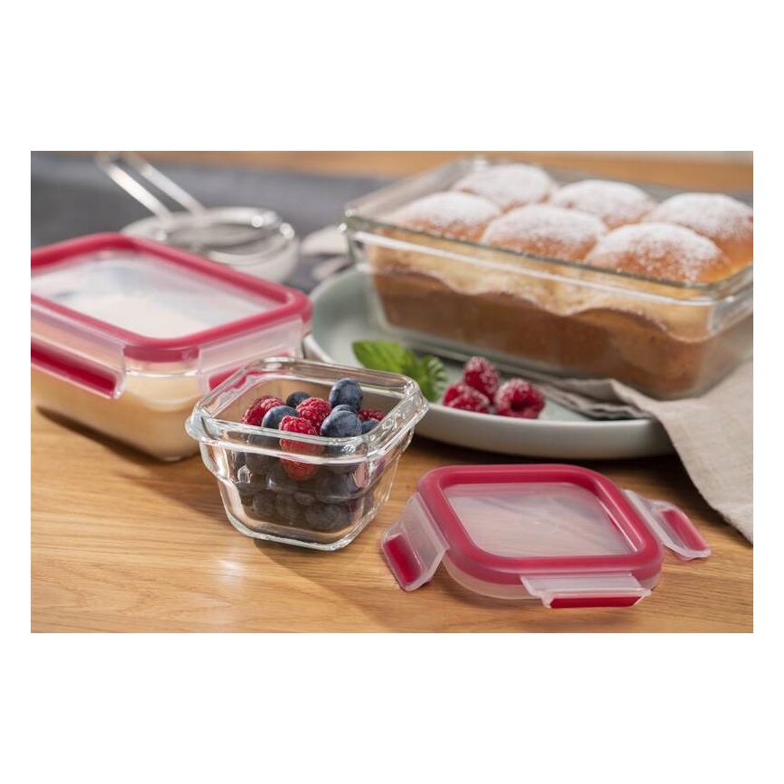 Tefal - Frischhaltedose 0,45 l MSEAL GLASS rot/Glas