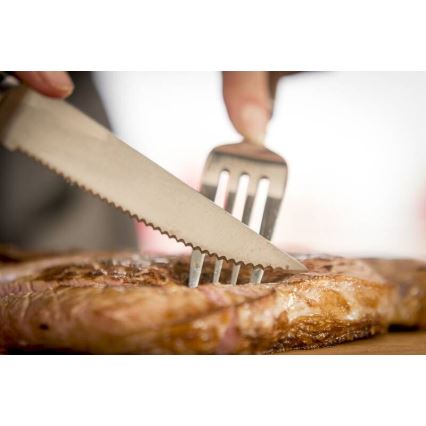 Tefal - Ensemble de 4 couteaux à steak ICE FORCE 11 cm en acier inoxydable, finition chrome brillant et poignées noires