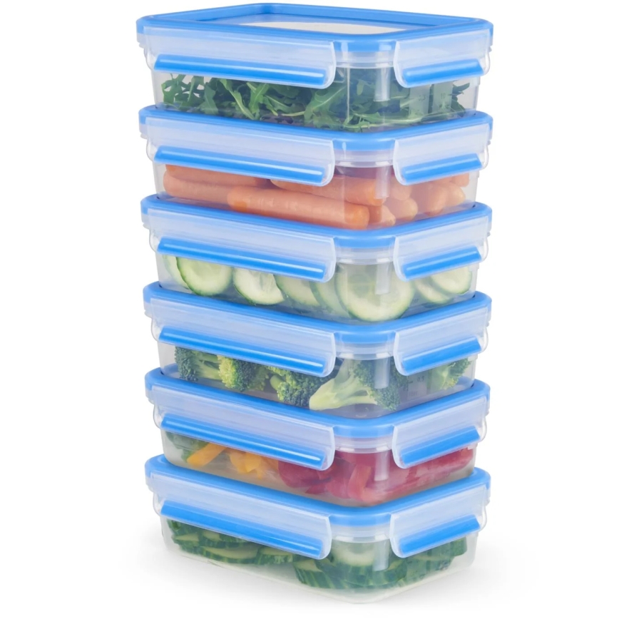 Tefal - LOT x6 Récipient alimentaire 0,8 l MASTER SEAL FRESH bleu