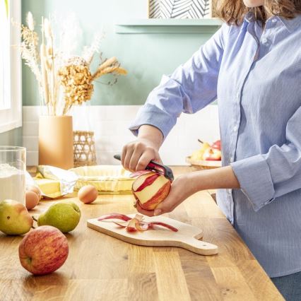 Tefal - Sbucciatore da cucina INGENIO acciaio inossidabile/nero