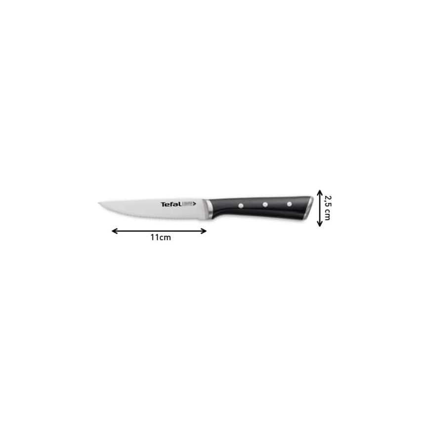 Tefal - SET 4x Coltello da bistecca in acciaio inox ICE FORCE 11 cm cromo lucido/nero