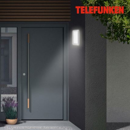 Telefunken 313604TF - LED-Wandleuchte für den Außenbereich LED/16W/230V IP44 silbern