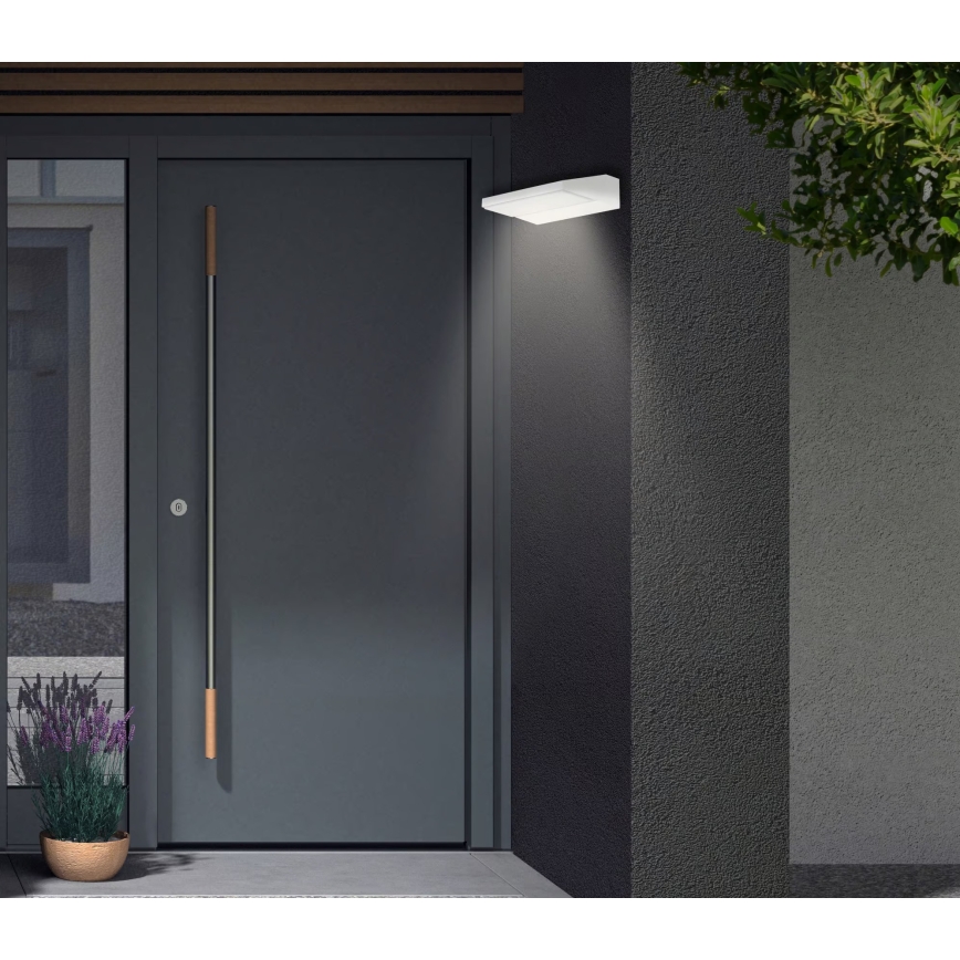 Telefunken - Applique murale d'extérieur LED/10W/230V IP44 blanche