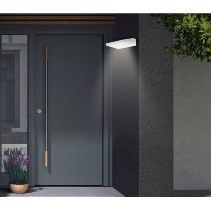 Telefunken - LED-Außenwandleuchte LED/10W/230V IP44 weiß