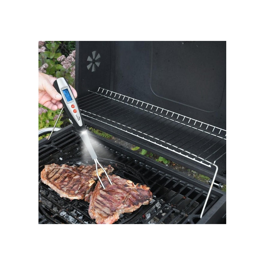 Termometro digitale per carne 0-100°C 2xAAA