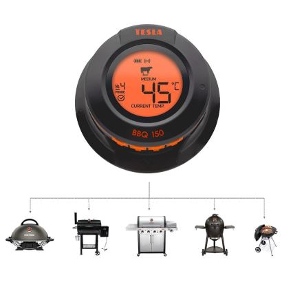 TESLA Electronics Cook - Digitales Fleischthermometer mit Sonde 0-400 °C, 2xAA, IP65