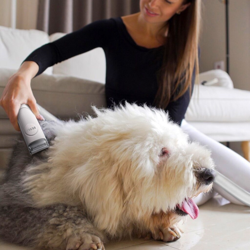TESLA Electronics PetCare - Kit de toilettage pour animaux de compagnie 300W/230V