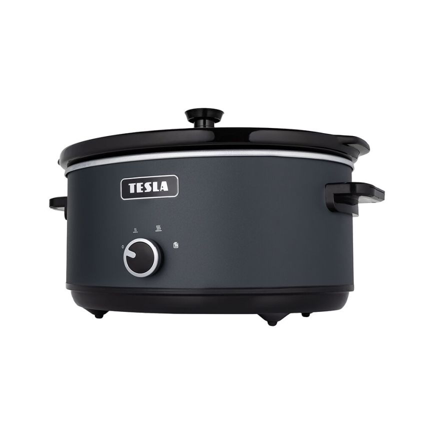 TESLA Electronics SlowCook - Mijoteuse 6,5 l 270W/230V