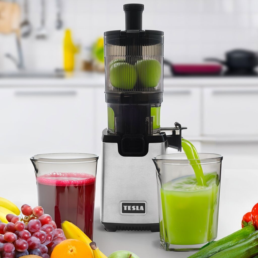 TESLA Electronics SlowJuicer Deluxe - Extracteur de jus lent 250W/230V acier inoxydable/noir