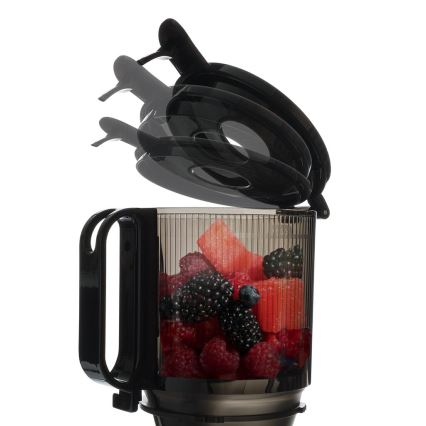 TESLA Electronics SlowJuicer Deluxe - Extracteur de jus lent 250W/230V acier inoxydable/noir