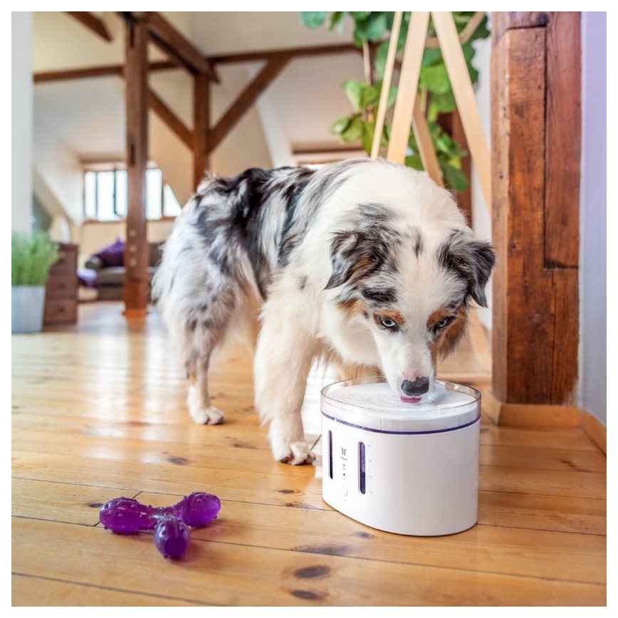 TESLA Smart - Fontaine connectée pour animaux de compagnie avec stérilisation par UV 2,5 l 5V Wi-Fi