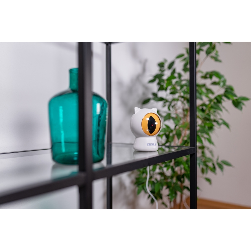 TESLA Smart - Giocattolo laser smart per gatti