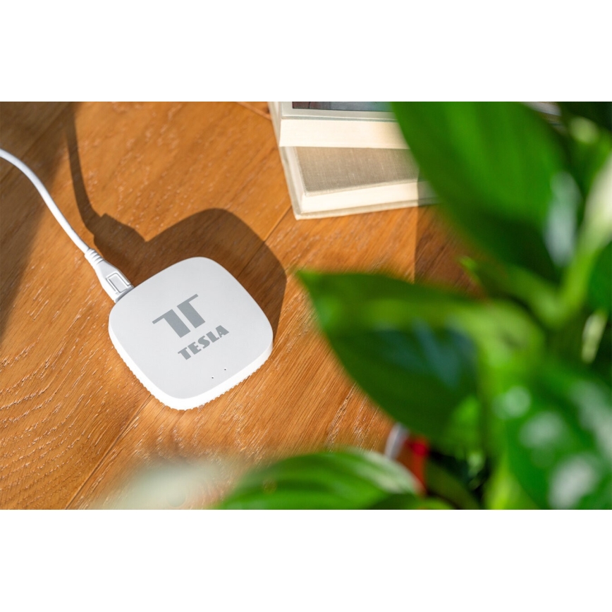 TESLA Smart - Hub gateway intelligente Smart Zigbee Wi-Fi