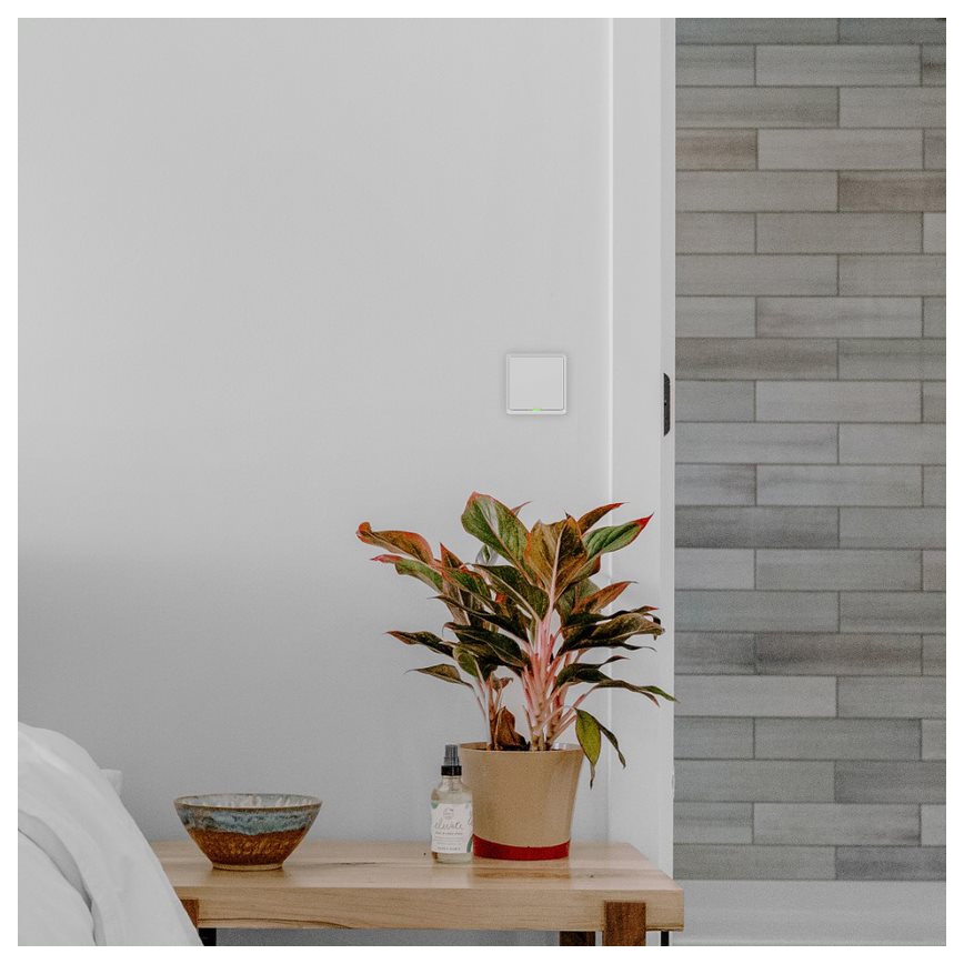 TESLA Smart - Interrupteur pour maison connectée 1P 230V Wi-Fi