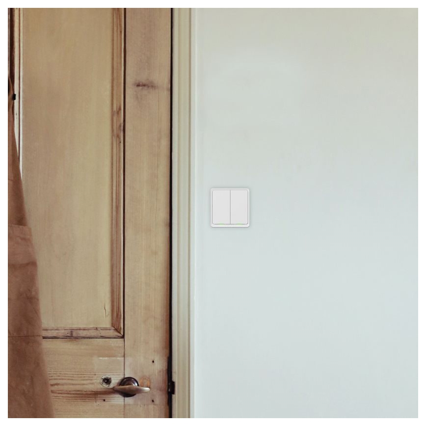 TESLA Smart - Interrupteur pour maison connectée 2P 230V Wi-Fi