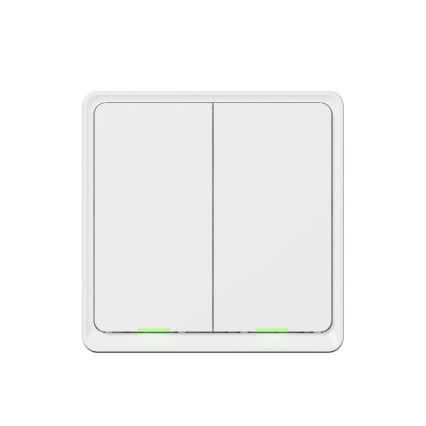 TESLA Smart - Interruttore domestico intelligente 2P 230V Wi-Fi