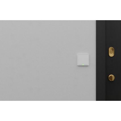 TESLA Smart - Interruttore intelligente domestico 1P 230V Wi-Fi