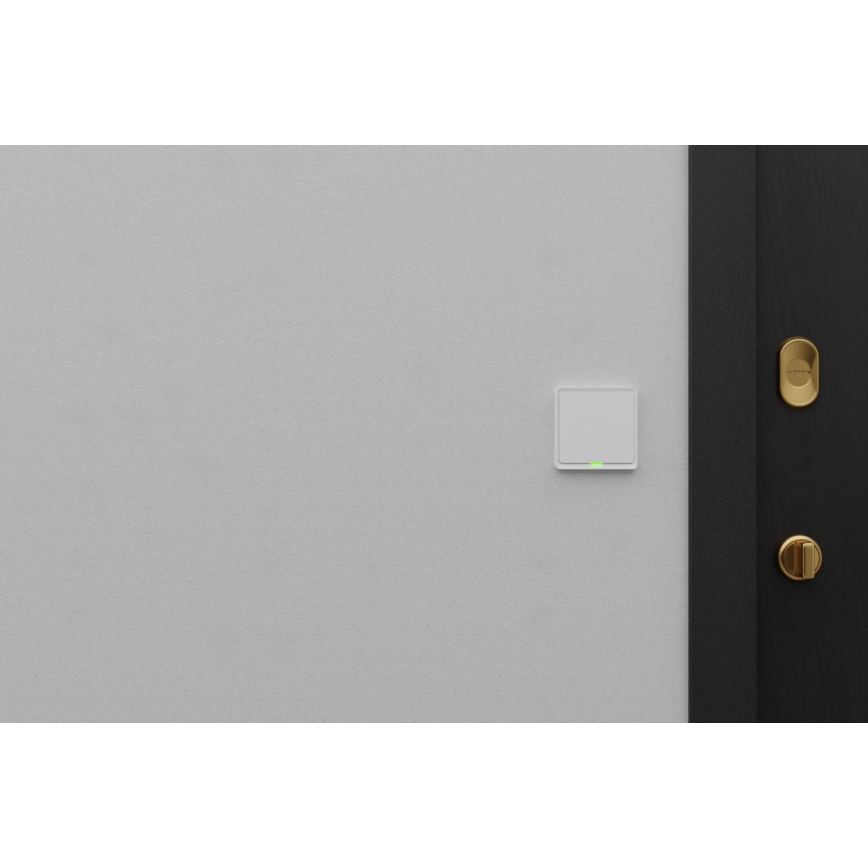 TESLA Smart - Interruttore intelligente domestico 1P 230V Wi-Fi