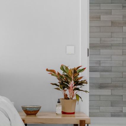 TESLA Smart - Interruttore intelligente domestico 1P 230V Wi-Fi