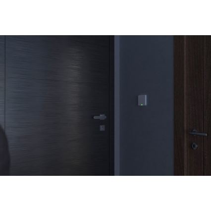 TESLA Smart - Interruttore intelligente domestico 1P 230V Wi-Fi