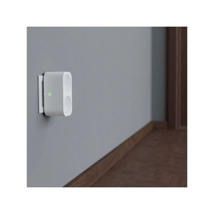 TESLA Smart - Multiprise connectée 2x16A/230V Type F Wi-Fi Tuya