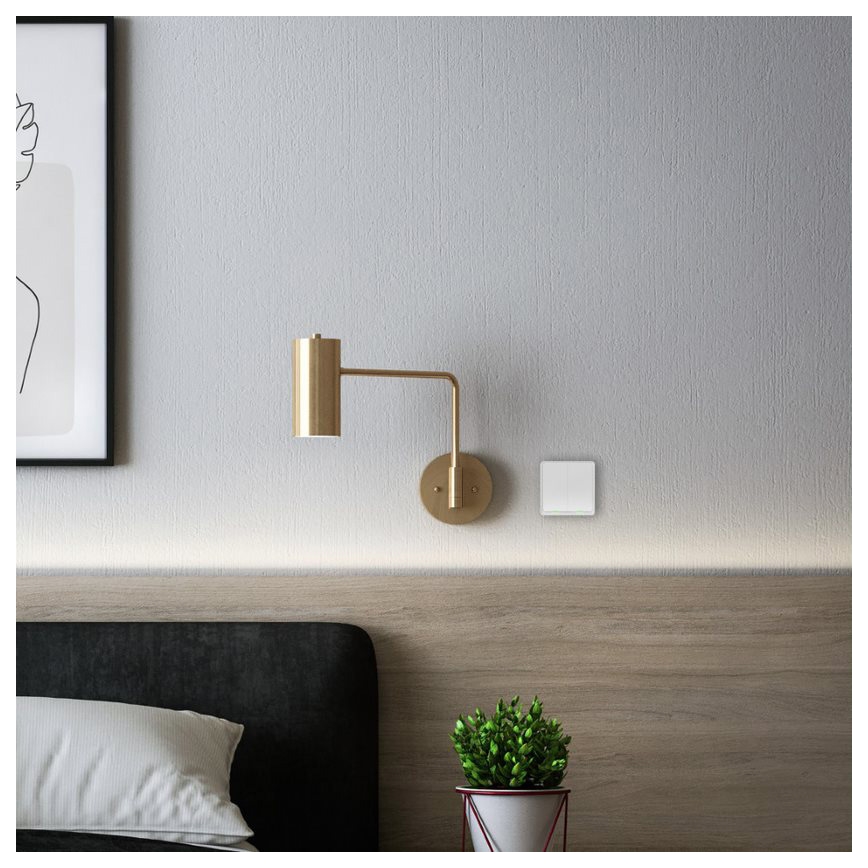 TESLA Smart - Smart Wireless Home Schalter 2P 1xCR2430 ZigBee