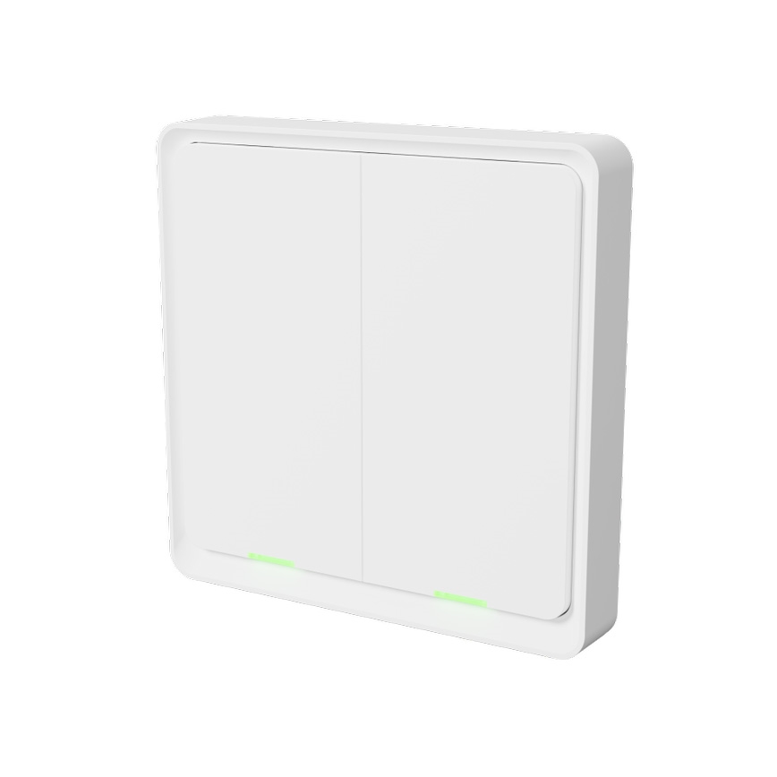 TESLA Smart - Smart Wireless Home Schalter 2P 1xCR2430 ZigBee