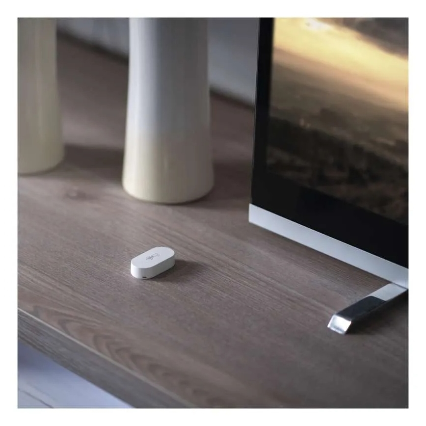 Thermomètre numérique sans fil GoSmart 1×CR2032
