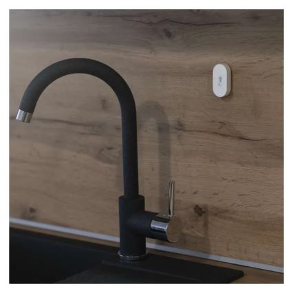 Thermomètre numérique sans fil GoSmart 1×CR2032