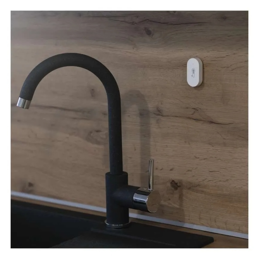 Thermomètre numérique sans fil GoSmart 1×CR2032