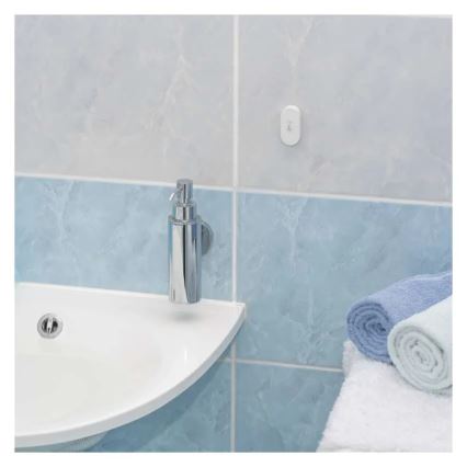 Thermomètre numérique sans fil GoSmart 1×CR2032