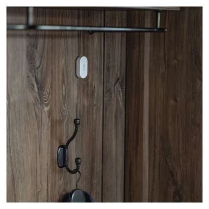 Thermomètre numérique sans fil GoSmart 1×CR2032