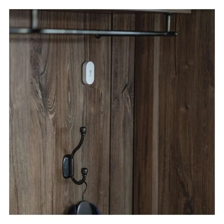 Thermomètre numérique sans fil GoSmart 1×CR2032