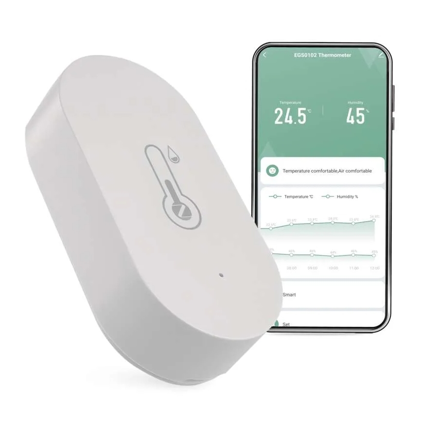 Thermomètre numérique sans fil GoSmart 1×CR2032