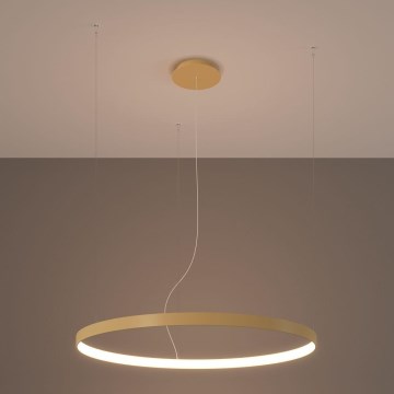 Thoro TH.174 - Lampadario LED a sospensione con filo RIO LED/50W/230V CRI 90 3000K diametro 78 cm oro