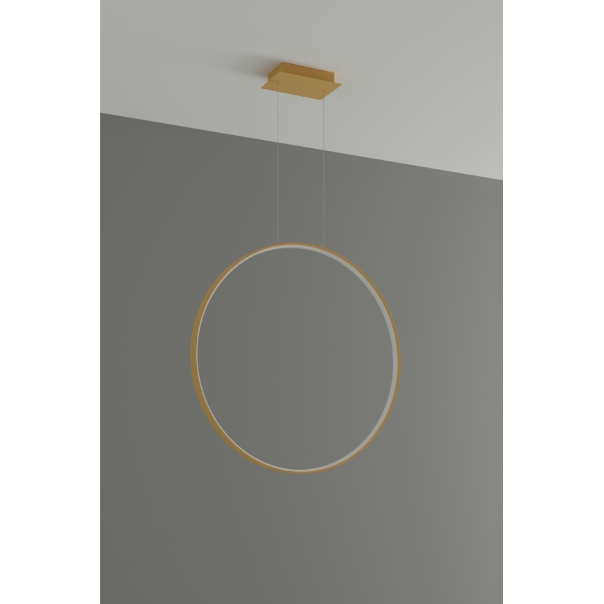 Thoro TH.175 - Lampadario LED a sospensione con filo RIO LED/50W/230V CRI 90 3000K diametro 78 cm oro