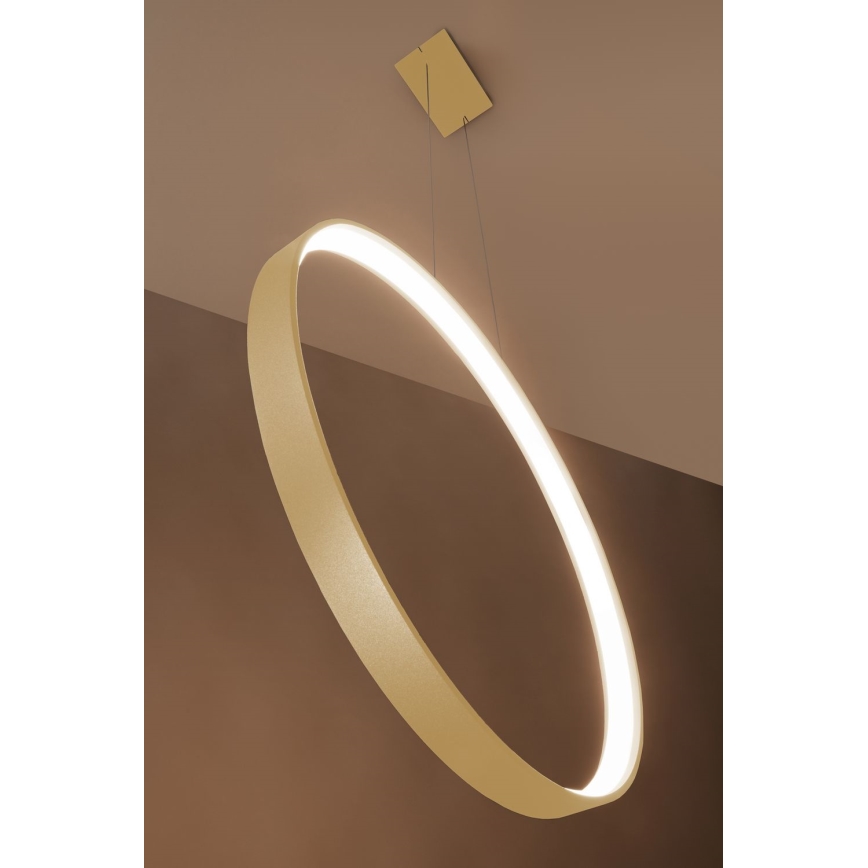 Thoro TH.175 - Lampadario LED a sospensione con filo RIO LED/50W/230V CRI 90 3000K diametro 78 cm oro