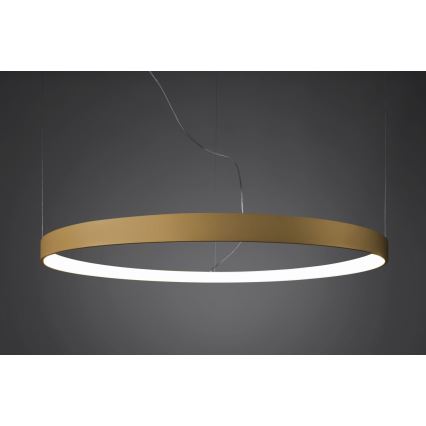 Thoro TH.181 - LED  Lampadario a sospensione con filo RIO LED /50W/230V CRI 95 4000K diametro 78 cm oro
