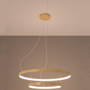 Thoro TH.214 - Lampadario LED a sospensione con filo RIO LED/80W/230V CRI 90 3000K oro