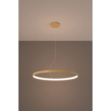 Thoro TH.216 - Lampadario LED a sospensione con filo RIO LED/30W/230V CRI 90 3000K diametro 55 cm oro