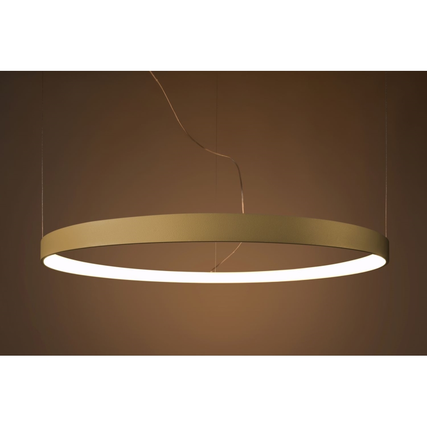 Thoro TH.216 - Lampadario LED a sospensione con filo RIO LED/30W/230V CRI 90 3000K diametro 55 cm oro